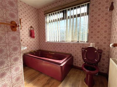 Picture 14